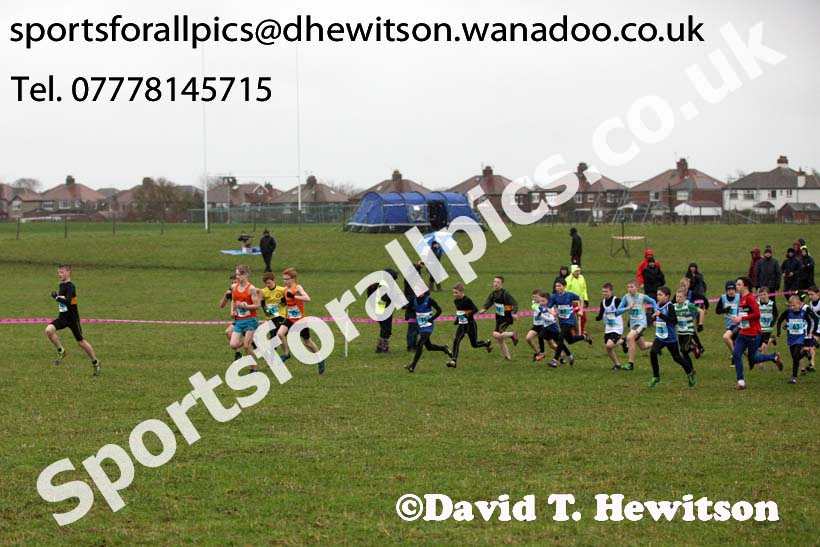 Boys under-13s North Eastern Cross Country, Sedgefield, County Durham. Photo: David T. Hewitson/Sports for All Pics